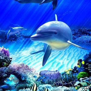 Meet your Posher, Connie